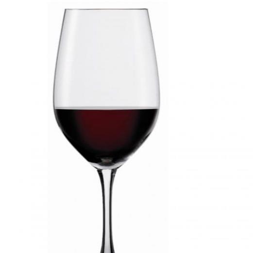 CALICE VINHO TINTO 46CL WINELOVERS